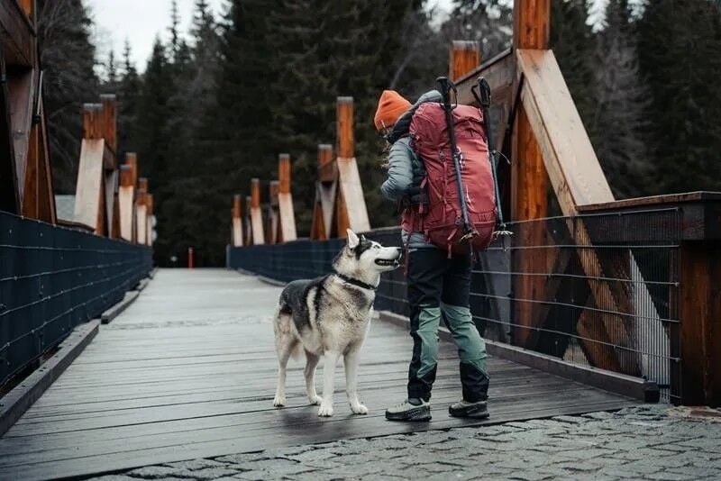 HUSKY Ranis 70 LT Bordo Sırt Çantası